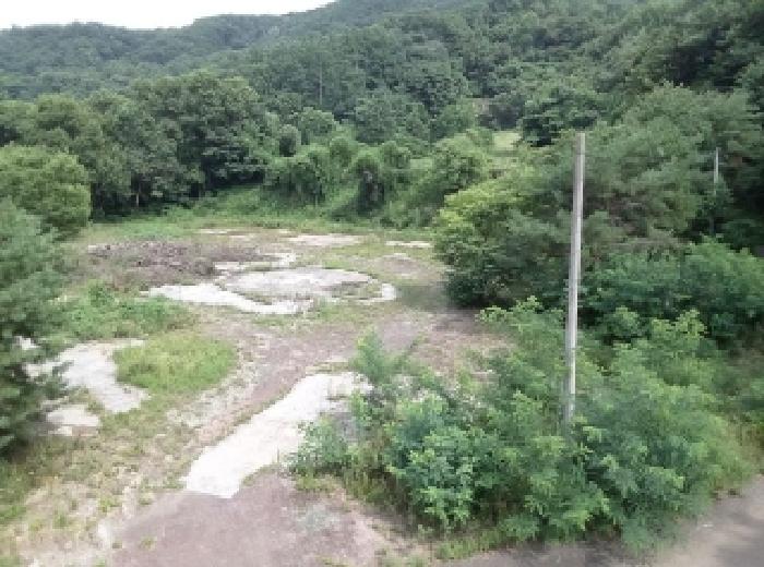 충청북도 청주시 상당구 명암동 47-8 유원지 경매 사진 2