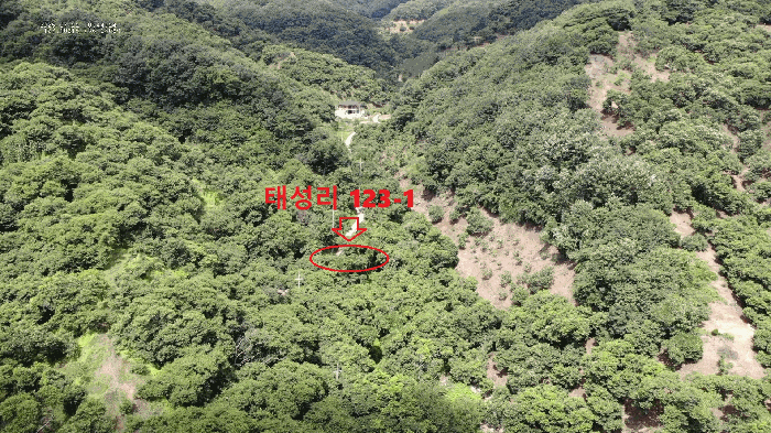 충청남도 공주시 정안면 태성리 122 외 3필지 답 경매 사진 5