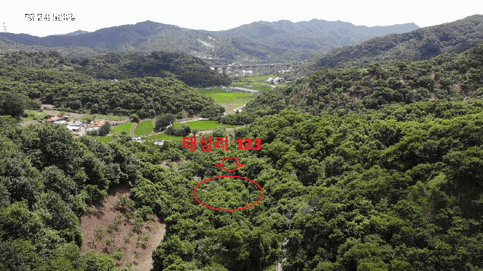 충청남도 공주시 정안면 태성리 122 외 3필지 답 경매 사진 8