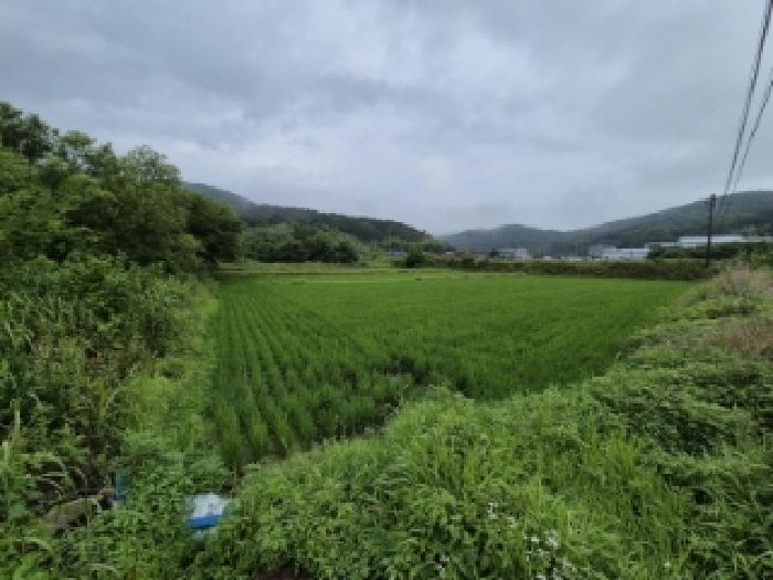 경상북도 경주시 내남면 덕천리 1052 전답 경매 사진 1
