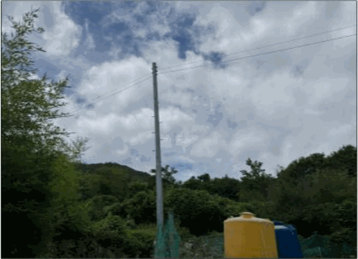 전라남도 여수시 오림동 산61 임야 경매 사진 6