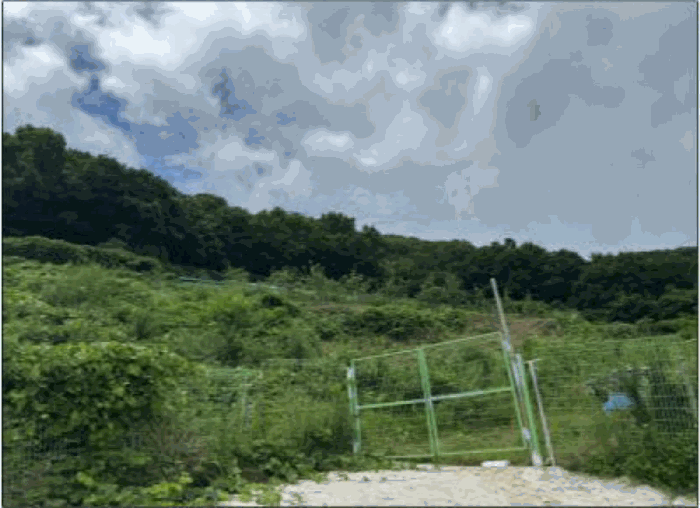 전라남도 여수시 오림동 산61 임야 경매 사진 7