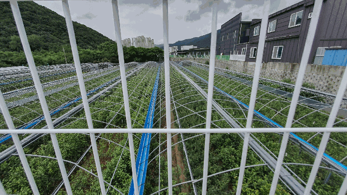 전라남도 순천시 가곡동 188 답 경매 사진 47