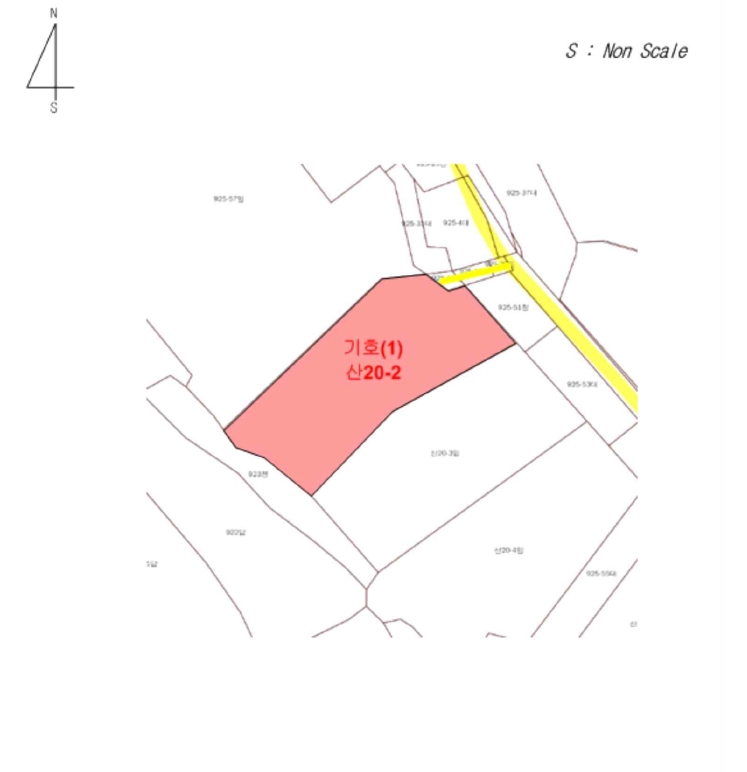 충청북도 제천시 송학면 도화리 산20-2 임야 경매 사진 29