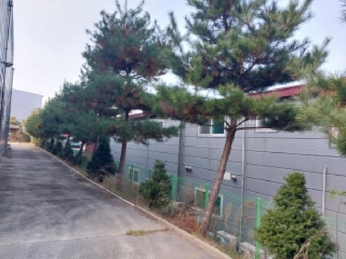 충청남도 공주시 월미동 462-2 주건축물제1동 외 1필지 공장 경매 사진 11