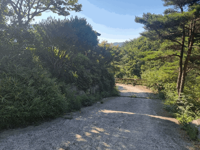 경상남도 산청군 단성면 운리 산63 외 5필지 다가구주택 경매 사진 31