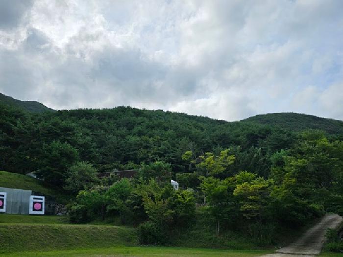 경상남도 산청군 단성면 운리 산63 외 5필지 다가구주택 경매 사진 5