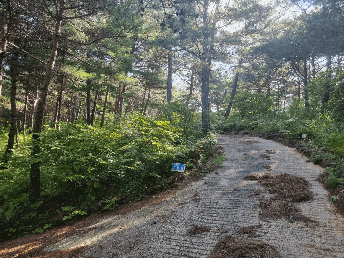 경상남도 산청군 단성면 운리 산63 외 5필지 다가구주택 경매 사진 45