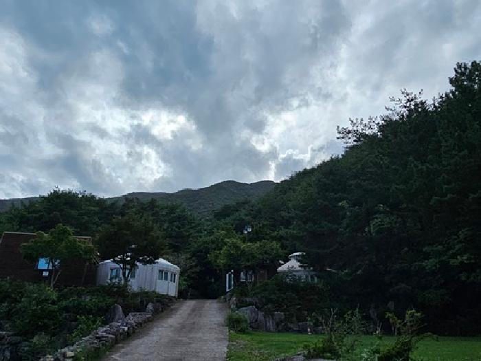 경상남도 산청군 단성면 운리 산63 외 5필지 다가구주택 경매 사진 10