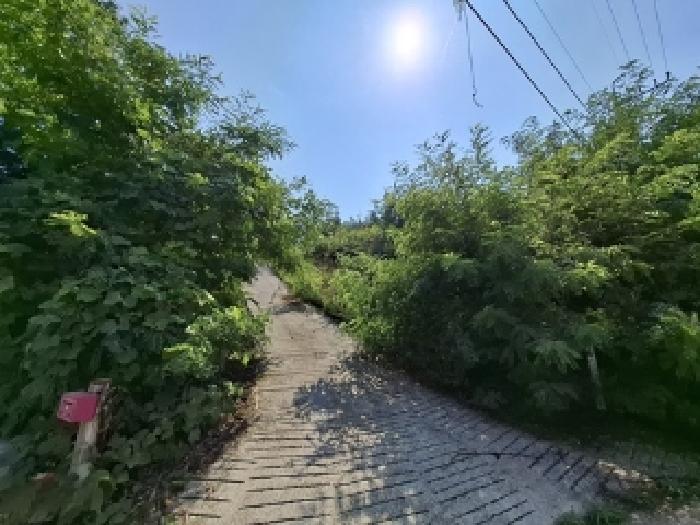 경상남도 사천시 서포면 외구리 산110 외 2필지 임야 경매 사진 15