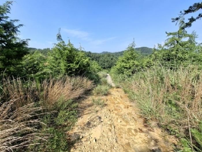 경상남도 사천시 서포면 외구리 산110 외 2필지 임야 경매 사진 6