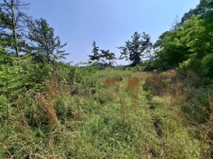 경상남도 사천시 서포면 외구리 산110 외 2필지 임야 경매 사진 10
