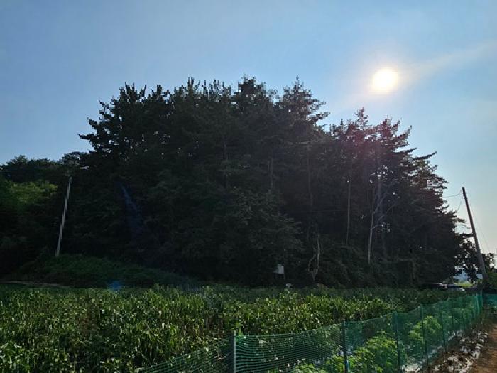 경상남도 진주시 이반성면 용암리 63 외 29필지 동물및식물관련시설 경매 사진 3