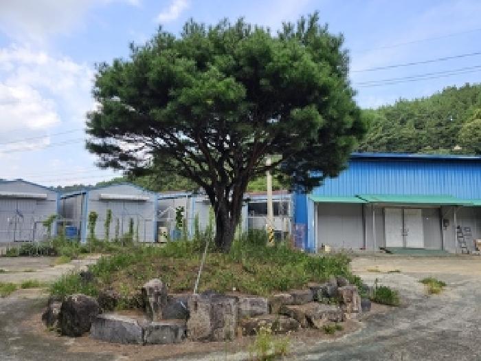 경상남도 진주시 이반성면 용암리 63 외 29필지 동물및식물관련시설 경매 사진 34