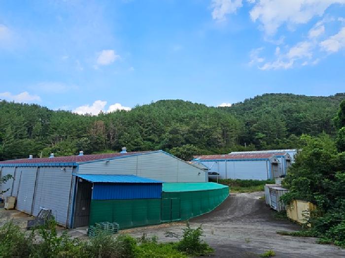 경상남도 진주시 이반성면 용암리 63 외 29필지 동물및식물관련시설 경매 사진 35