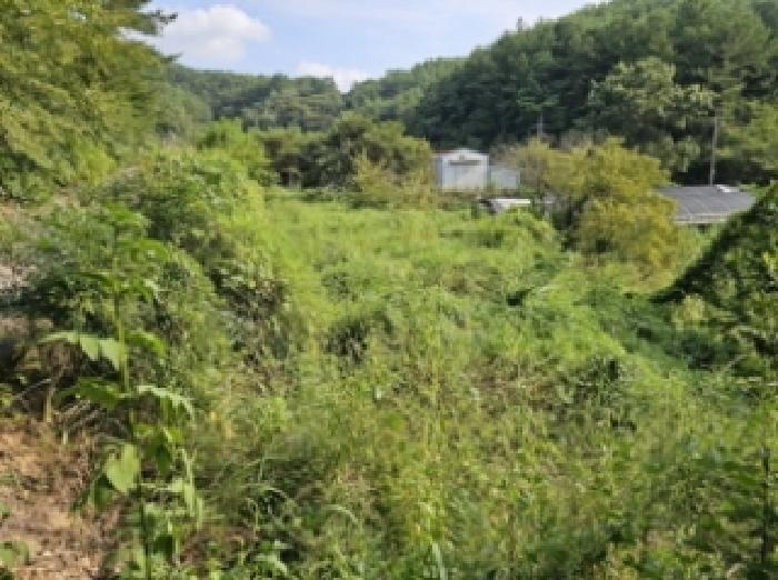 경상남도 진주시 이반성면 용암리 63 외 29필지 동물및식물관련시설 경매 사진 42