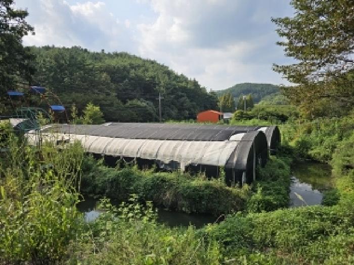경상남도 진주시 이반성면 용암리 63 외 29필지 동물및식물관련시설 경매 사진 47