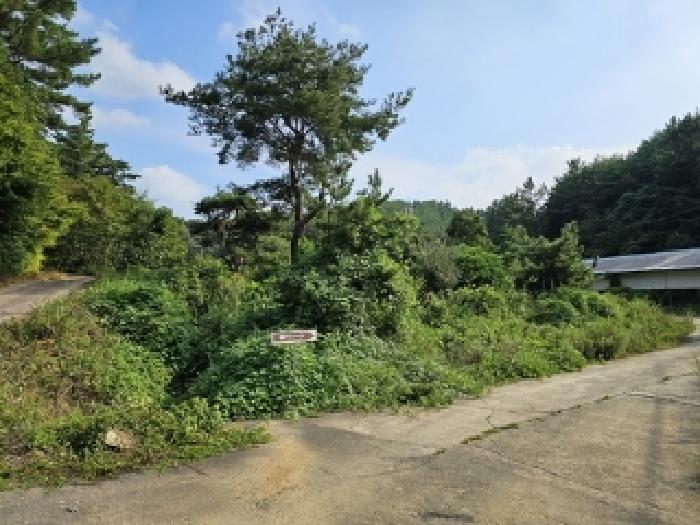 경상남도 진주시 이반성면 용암리 63 외 29필지 동물및식물관련시설 경매 사진 64