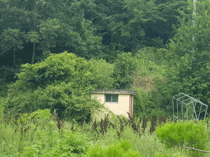 경상남도 진주시 이반성면 용암리 63 외 29필지 동물및식물관련시설 경매 사진 90