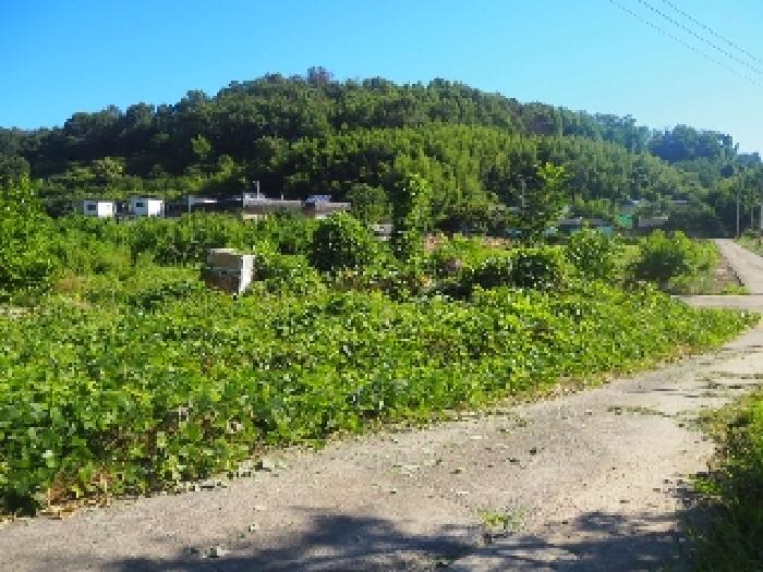 경상남도 밀양시 부북면 오례리 330 답 경매 사진 14
