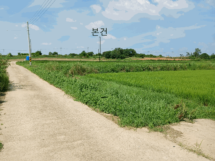 전라남도 영암군 시종면 만수리 745-2 답 경매 사진 14