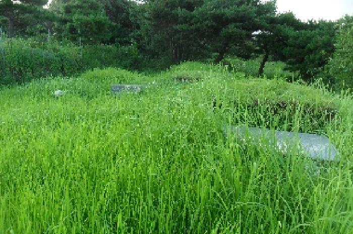 전북특별자치도 고창군 신림면 덕화리 351-2 전 경매 사진 12