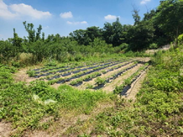 경기도 양주시 마전동 420-26 외 7필지 근린생활시설 경매 사진 1
