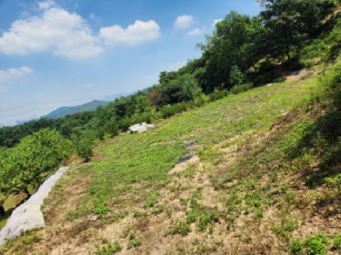 경기도 양주시 마전동 420-26 외 7필지 근린생활시설 경매 사진 3