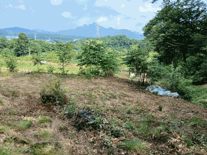 경기도 양주시 마전동 420-26 외 7필지 근린생활시설 경매 사진 30