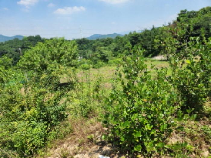 경기도 양주시 마전동 420-26 외 7필지 근린생활시설 경매 사진 4
