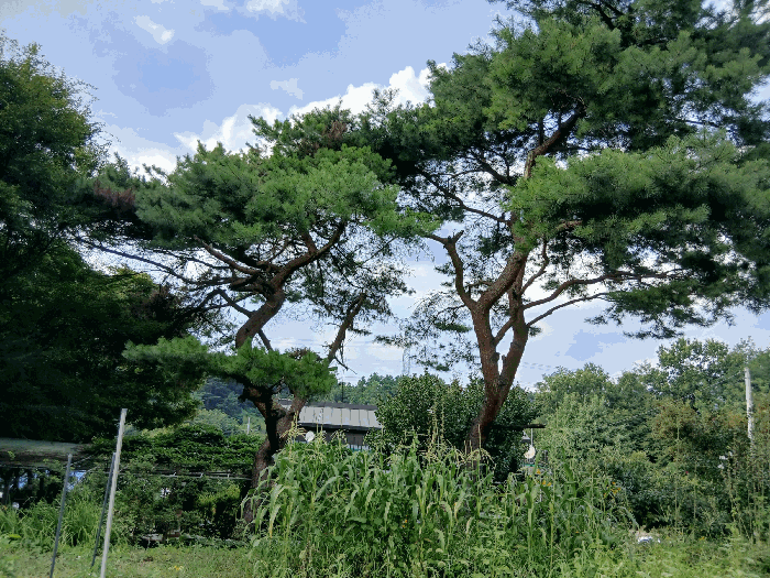 경기도 양주시 마전동 420-26 외 7필지 근린생활시설 경매 사진 34