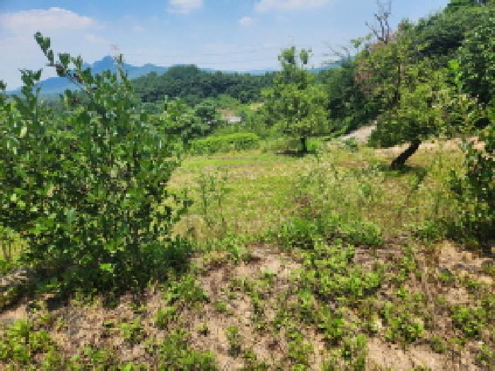 경기도 양주시 마전동 420-26 외 7필지 근린생활시설 경매 사진 6