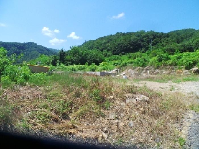강원특별자치도 화천군 하남면 안평리 795-3 외 3필지 단독주택 경매 사진 12