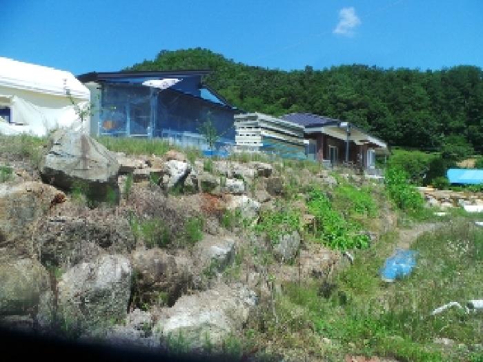 강원특별자치도 화천군 하남면 안평리 795-3 외 3필지 단독주택 경매 사진 16