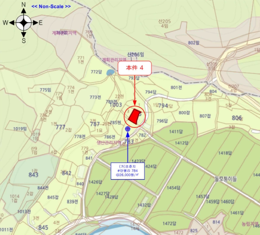 강원특별자치도 화천군 하남면 안평리 795-3 외 3필지 단독주택 경매 사진 29