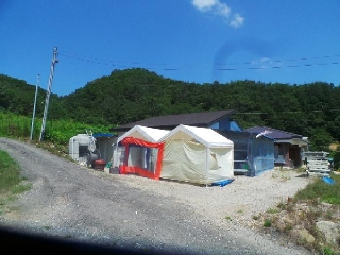 강원특별자치도 화천군 하남면 안평리 795-3 외 3필지 단독주택 경매 사진 5