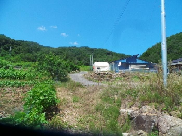 강원특별자치도 화천군 하남면 안평리 795-3 외 3필지 단독주택 경매 사진 9