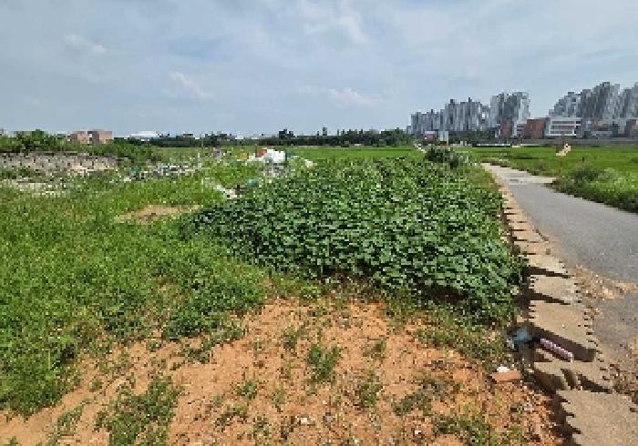 충청남도 아산시 둔포면 운용리 337-214 임야 경매 사진 24