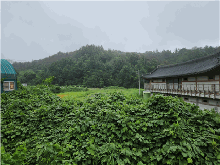 경상북도 경주시 감포읍 감포리 144 답 경매 사진 3