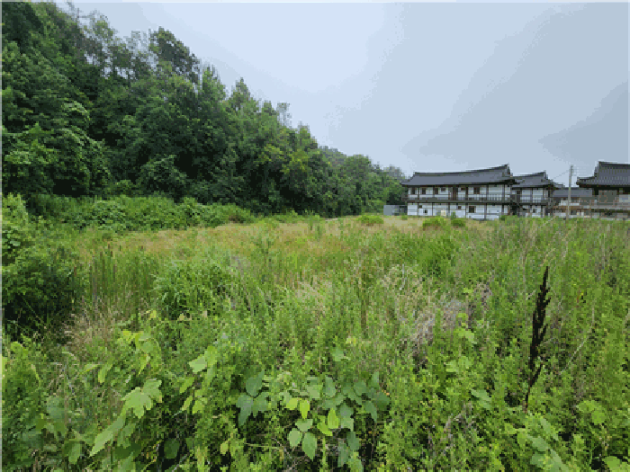 경상북도 경주시 감포읍 감포리 144 답 경매 사진 5
