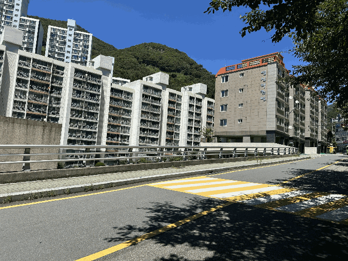 부산광역시 사하구 당리동 22-3 임야 경매 사진 5