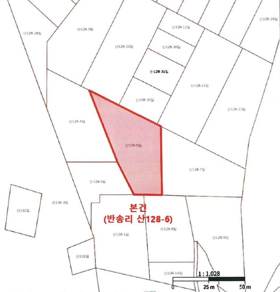 울산광역시 울주군 언양읍 반송리 산128-6 임야 경매 사진 17