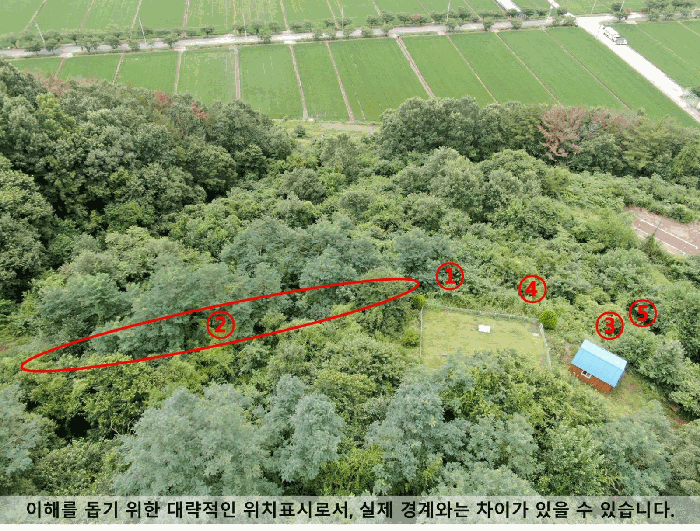 경상남도 의령군 용덕면 가락리 162-3 외 4필지 전 경매 사진 4