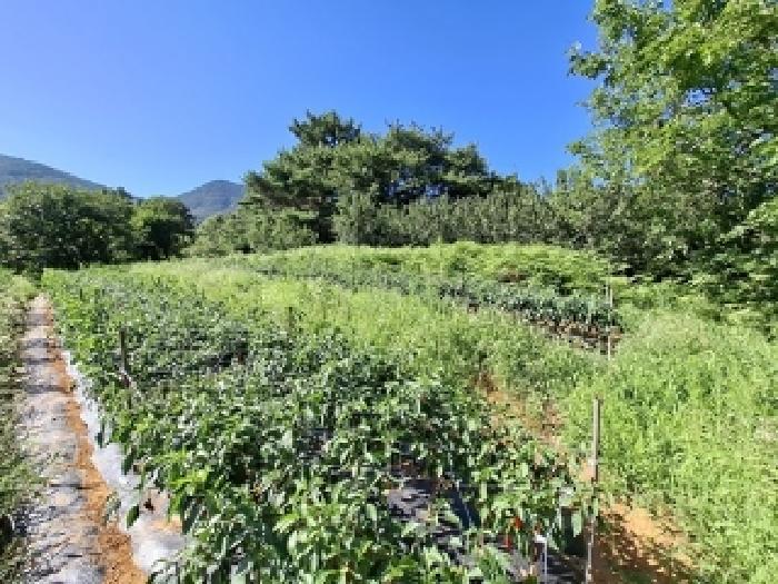 경상남도 남해군 설천면 진목리 103 외 5필지 전 경매 사진 11