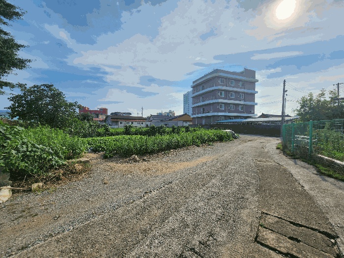 전라남도 장성군 장성읍 성산리 853 외 1필지 대지 경매 사진 12