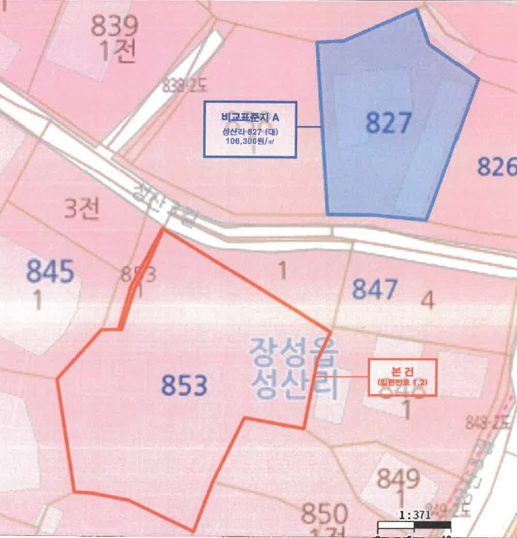 전라남도 장성군 장성읍 성산리 853 외 1필지 대지 경매 사진 13
