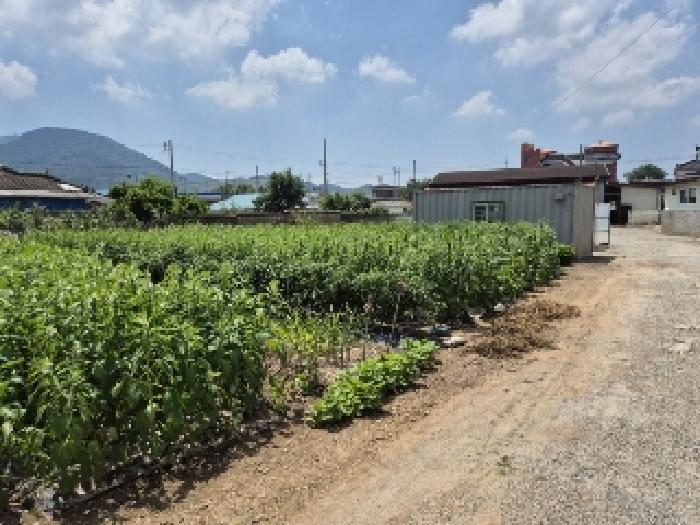 전라남도 장성군 장성읍 성산리 853 외 1필지 대지 경매 사진 6
