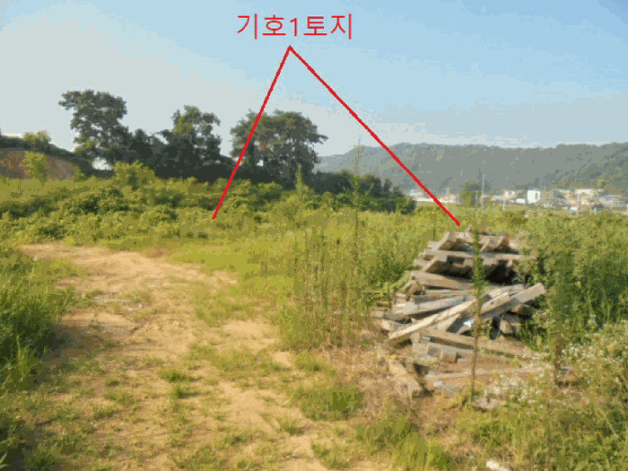 충청북도 음성군 대소면 대풍리 산33-3 임야 경매 사진 2