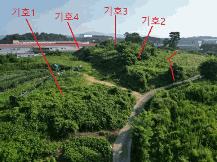 충청북도 음성군 대소면 대풍리 산33-3 임야 경매 사진 3