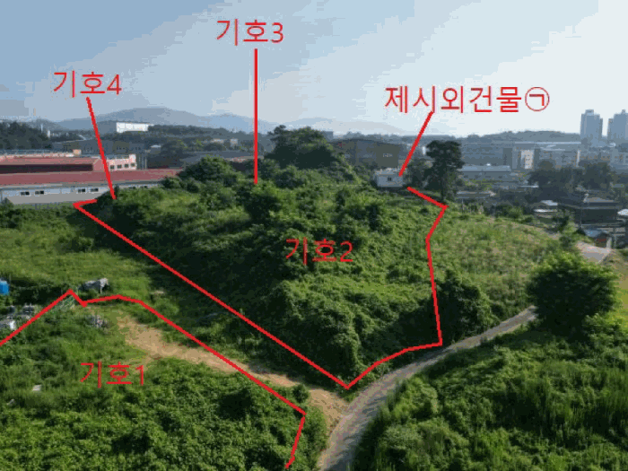 충청북도 음성군 대소면 대풍리 산33-3 임야 경매 사진 4